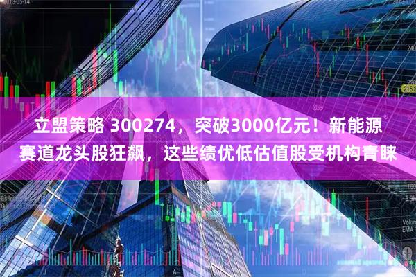 立盟策略 300274，突破3000亿元！新能源赛道龙头股狂飙，这些绩优低估值股受机构青睐